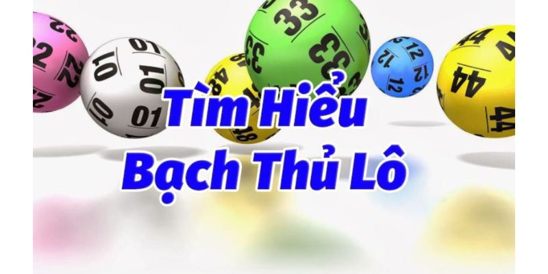 Cùng QQ88 tìm hiểu Bạch Thủ Lô là gì?