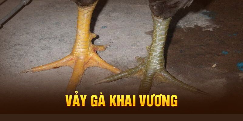 vảy gà khai vương